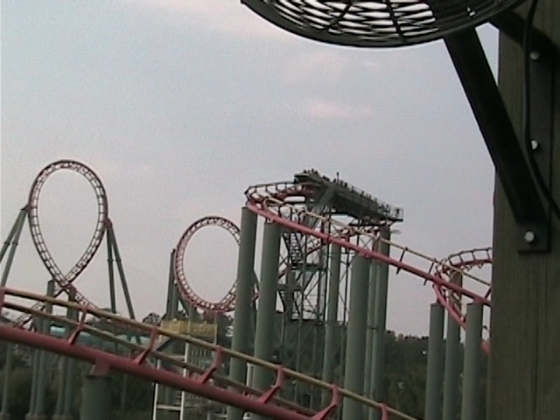 Anaconda
