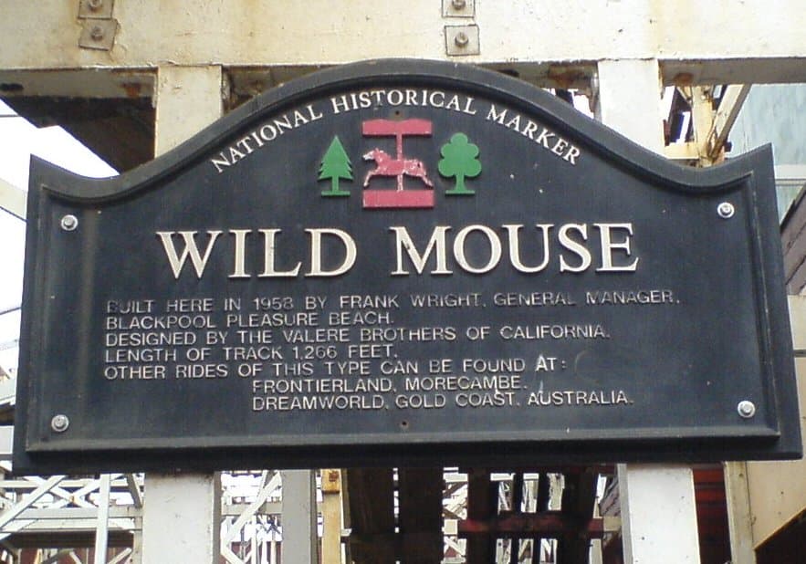 Wild Mouse
