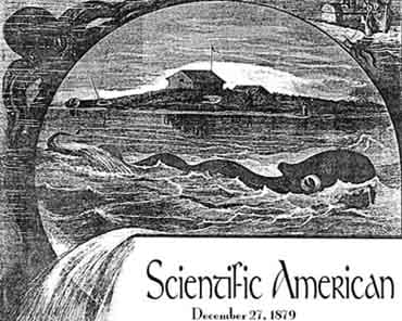 Sea Serpent