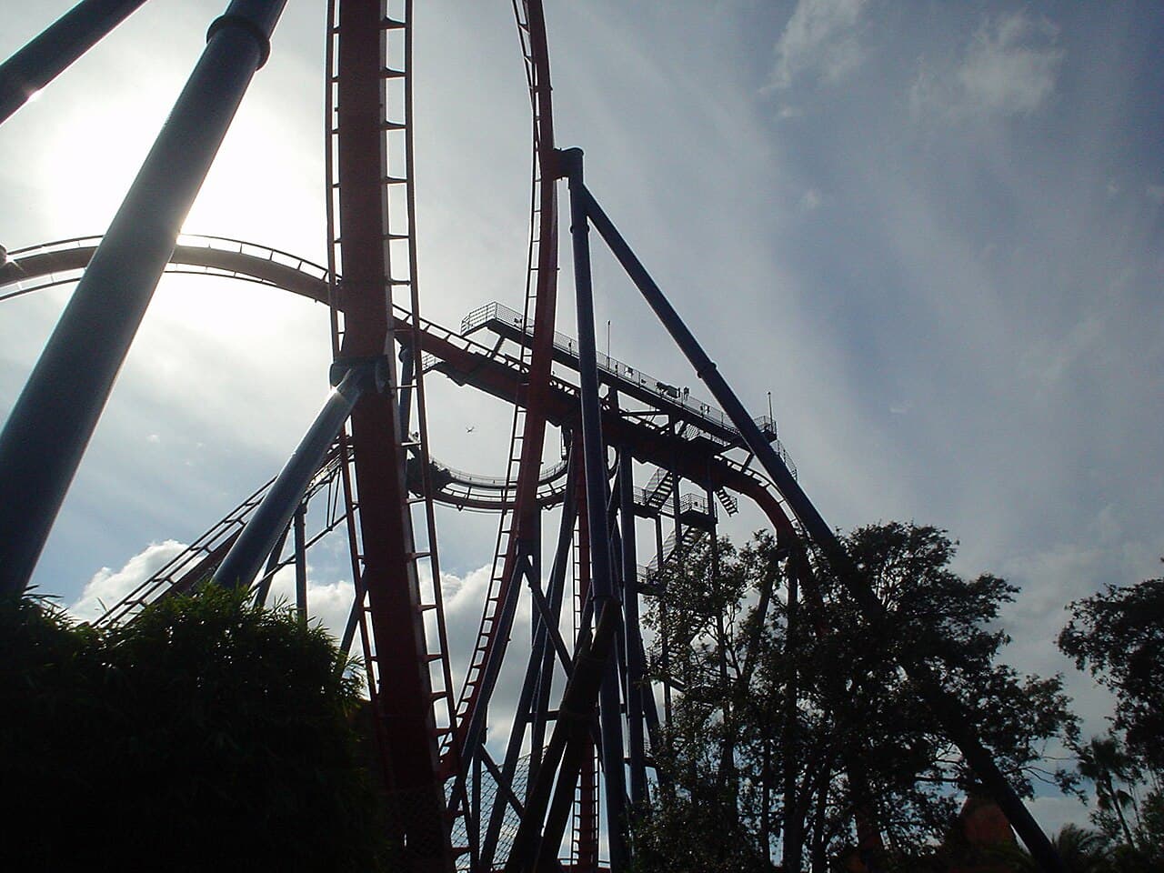 Griffon